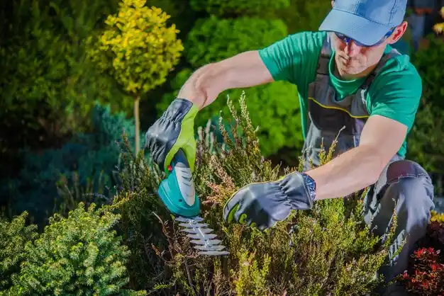 landscaping services Salamanca